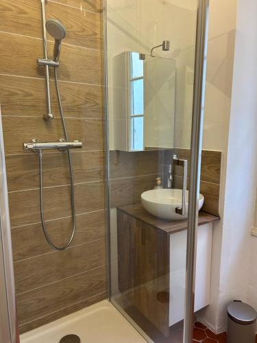 une salle de bain avec douche et lavabo dans l'établissement Bormes village médiéval, à Bormes-les-Mimosas