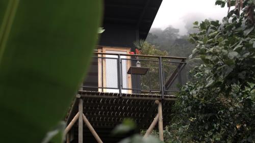 Galería fotográfica de Hotel La Palma y El Tucán - Café y Naturaleza en Zipacón