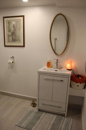 a bathroom with a sink and a mirror on the wall at Serene Don River Nature gateway- 2BR suite, Private Patio, Free Parking in Toronto