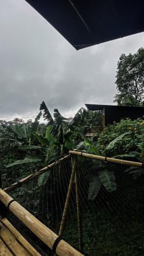 Un jardín fuera de Hotel La Palma y El Tucán - Café y Naturaleza