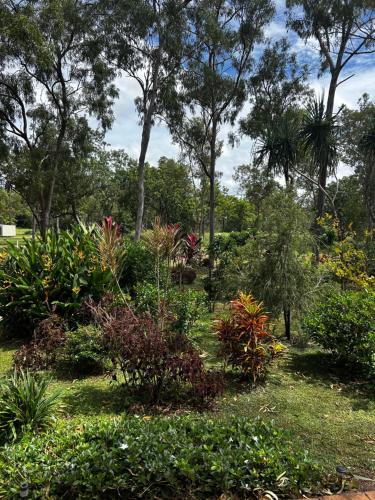 a garden with many different plants and trees at Litchfield Tropical Stay in Batchelor