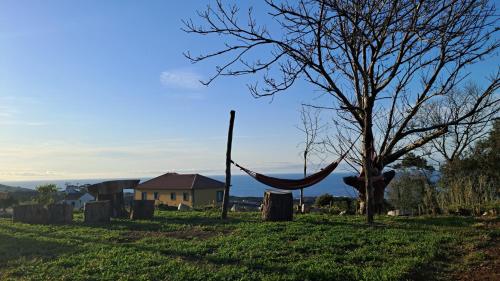 a hammock hanging from a tree in a field at Biscoitos Top View in Biscoitos