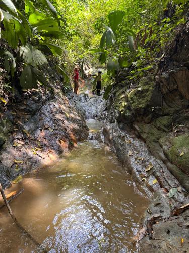 two people walking down a creek in the jungle at Entre Nubes in Nocaima