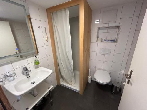 Bilik mandi di Alpenchalet Spiher-Studio und ein weiteres Schlafzimmer