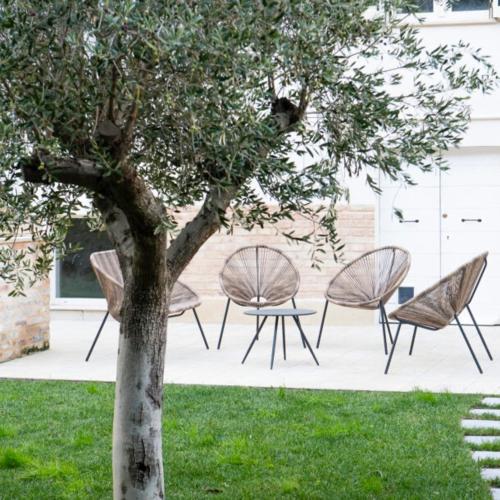a group of chairs and a tree in a yard at B&B VillaPrimavera in Porto San Giorgio