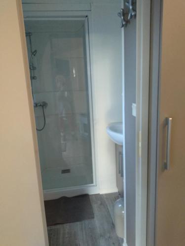 un bagno con doccia in vetro e WC di Mobil Home a Montaigu-Vendée