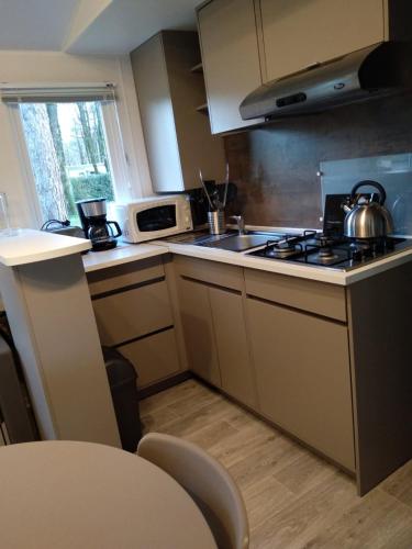 una piccola cucina con fornelli e microonde di Mobil Home a Montaigu-Vendée