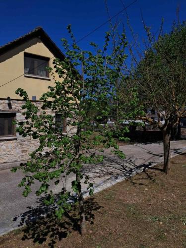 Κήπος έξω από το St George Stonehouse Ioannina