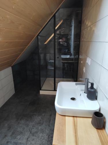 a bathroom with a white sink in a room at Dzika Dziura z jacuzzi in Zawoja