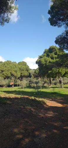 a field with trees in the background at InnJoy Space in Glyfada