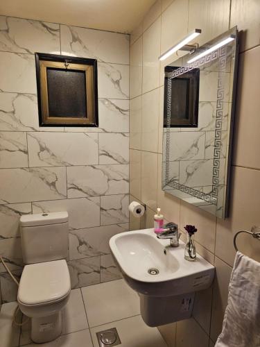 a bathroom with a sink and a toilet and a mirror at 2 bedrooms apartment no 18 in Amman