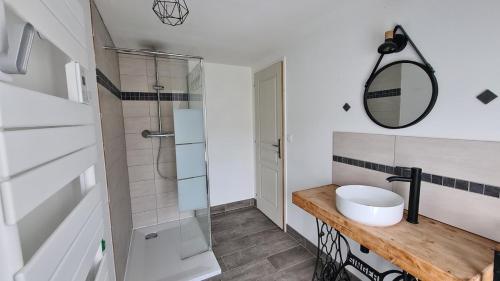 une salle de bain avec un lavabo et une douche en verre dans l'établissement Gîte Bambou, Beauval Zoo, à Seigy