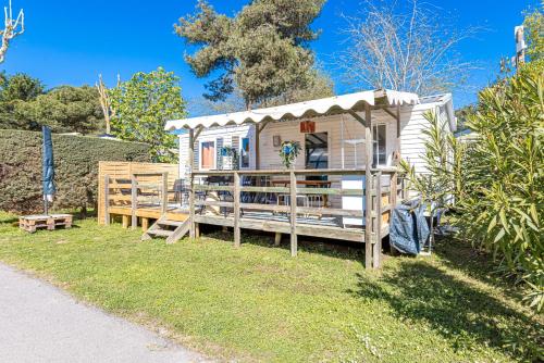 Family's Dream P16 La Marina