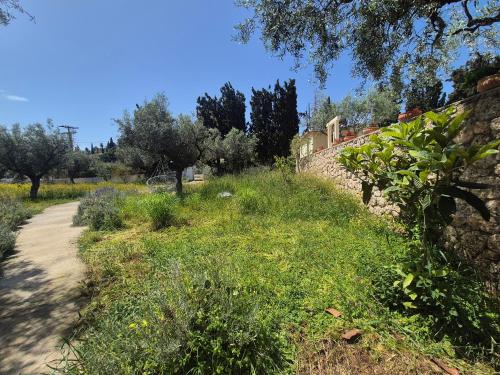 Κήπος έξω από το Villa Ancora Spetses