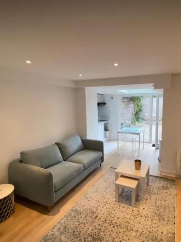 un salon avec un canapé et une table dans l'établissement Charmant studio centrale, à Rennes