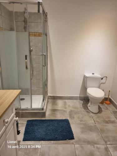 une salle de bain avec toilettes et douche en verre dans l'établissement Le Rosalbin, à Jupilles