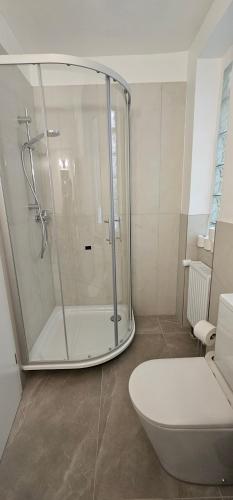 a bathroom with a shower and a toilet at Wald & Wasser in Bad Ems