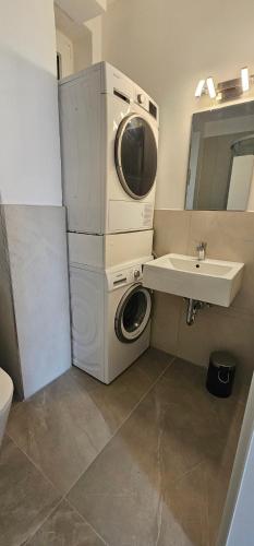 a washer and dryer in a bathroom with a sink at Wald & Wasser in Bad Ems
