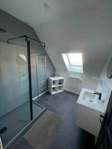 une salle de bain avec une douche en verre et un lavabo dans l'établissement Grande maison de campagne, à Mézières-sur-Ponthouin