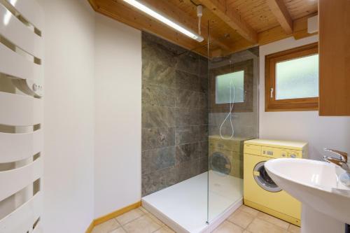 Un baño con lavabo y lavadora. en Chalet Le Bas du Paradis, en La Bresse