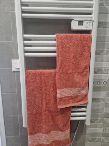 - 2 serviettes suspendues à un porte-serviettes dans la salle de bains dans l'établissement Appartement des Aubépines, à Mées