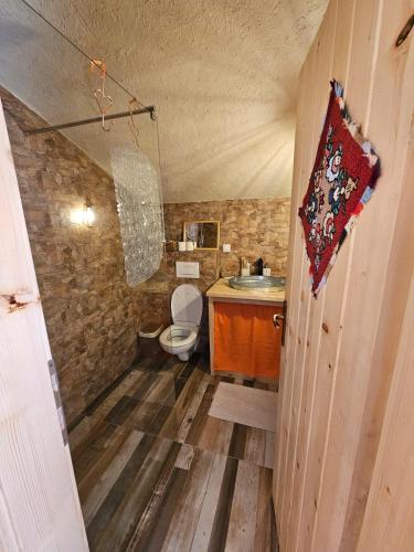 a bathroom with a sink and a toilet in a room at Zemljane kućice Kreševo in Kreševo