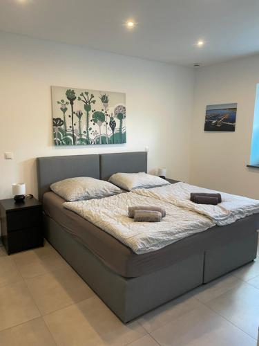 a bed in a bedroom with a painting on the wall at Großkoschen Wohnungen in Senftenberg