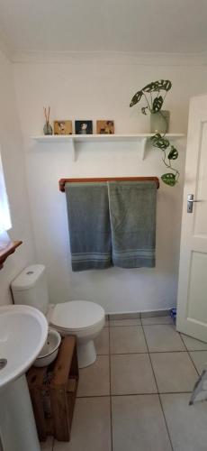 a bathroom with a toilet and a blue towel at The Centre Circle in Hilton