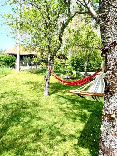 a hammock hanging between two trees in a yard at Relax house Aurora in Jasenovica