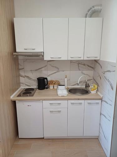 a kitchen with white cabinets and a sink at Ra-C&C in Vrdnik