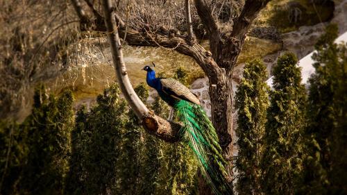 AJWA Cappadocia - Preferred Hotels Legend Collectionの宿泊客