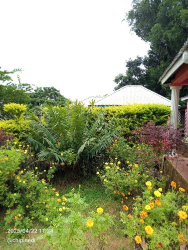a garden with many different types of flowers at Mount Mulanje Stopover in Peremwe