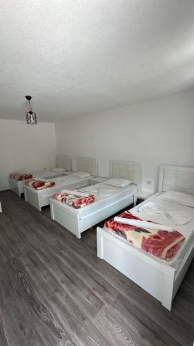 a row of four beds in a room at Bujtina Brahim Selimaj in Valbonë