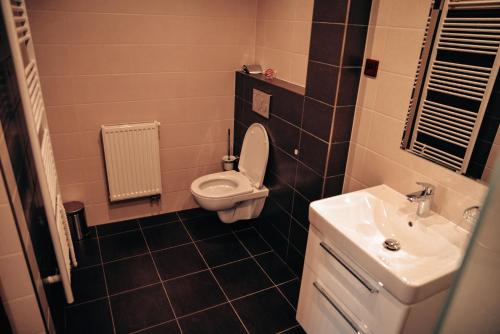 a small bathroom with a toilet and a sink at Apartmány u Zdeničky in Chlum u Třeboně