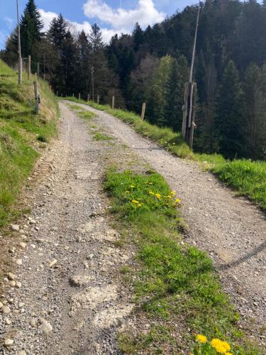 Φωτογραφία από το άλμπουμ του Ferienhaus im Grünen σε Sumiswald