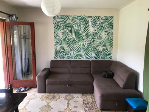 a living room with a brown couch and a wall at Kokin Brod Apartments in Kokin Brod