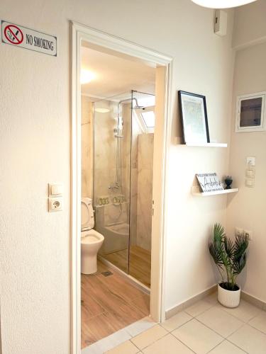 a bathroom with a shower and a toilet at Elounda Solo Apartment in Elounda