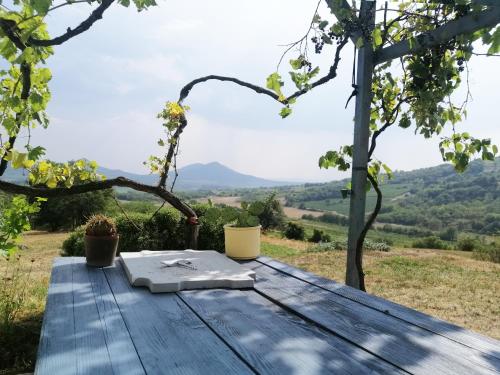 Köveshegy Guesthouse