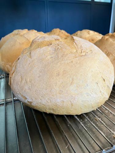 Billede fra billedgalleriet på Tannine et Cuisine i Jabbeke