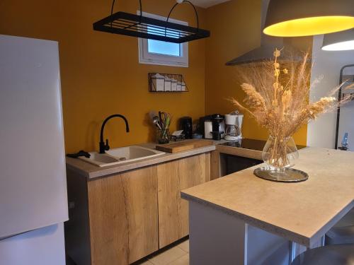 une cuisine avec un évier et un plan de travail dans l'établissement Le randonneur, à Vic-sur-Cère