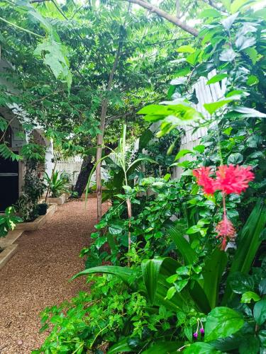 a garden with red flowers and green plants at Mgongo tree house in Jambiani