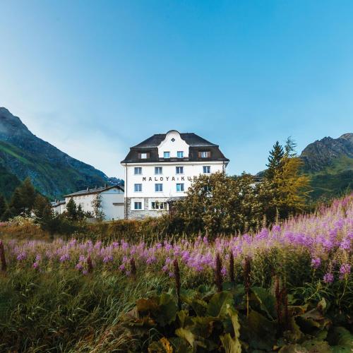 a white building on top of a hill with purple flowers at Hotel Maloja Kulm in Maloja