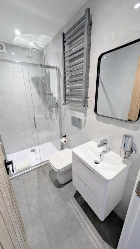 a bathroom with a sink and a shower and a toilet at Llandudno Lounge by Seaside Llandudno in Llandudno