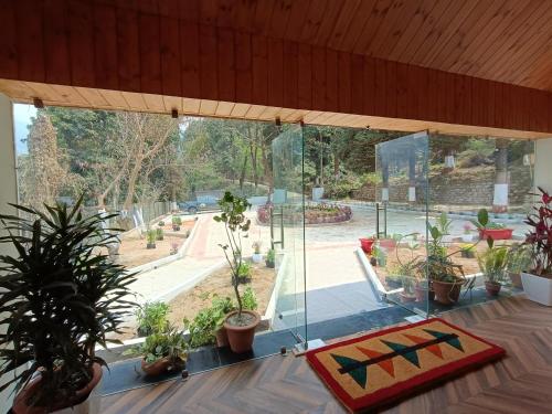 a large glass room with potted plants on the floor at Maharanee Bungalow Darjeeling in Darjeeling