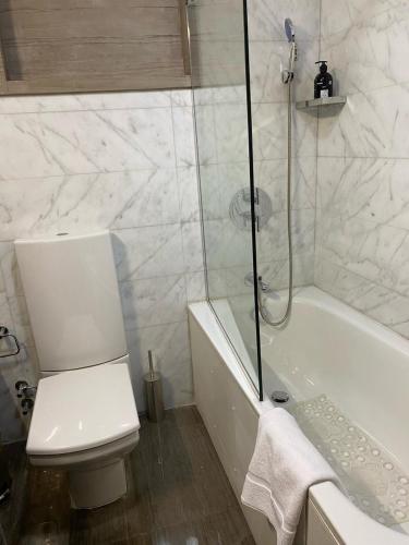 a bathroom with a tub and a toilet and a shower at Nile Suites Plaza Hotel Apartments in Cairo