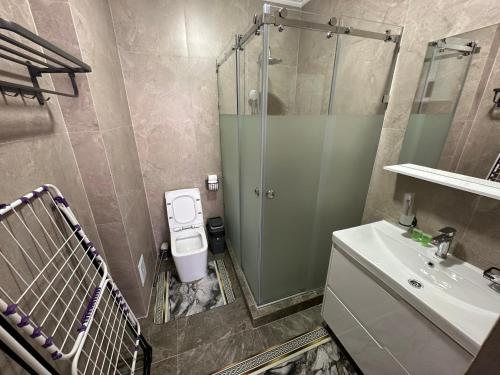 a bathroom with a shower and a toilet and a sink at Антей Большой in Koshkolʼ