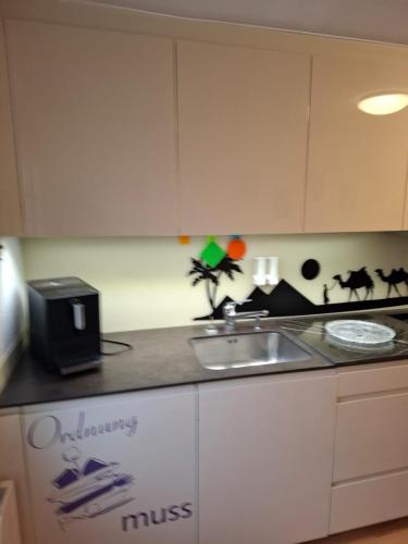 una cucina con un lavello e un piano di lavoro di Eidechse a Morschach