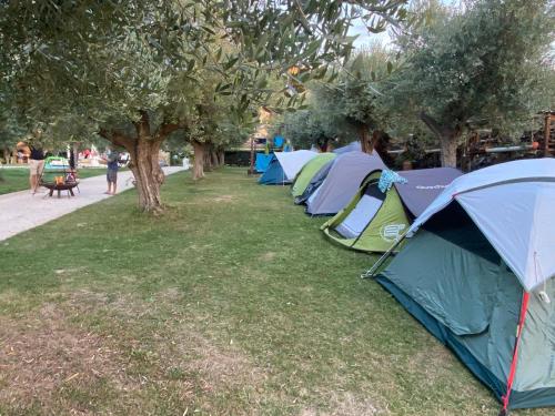 a row of tents on the grass in a park at Rocky House in Ripa Teatina