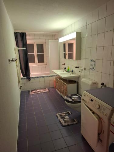 a tiled kitchen with a sink and a washing machine at Eidechse in Morschach