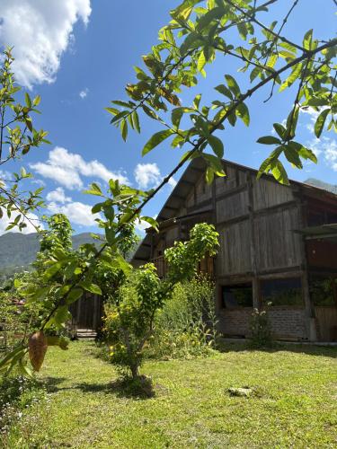 a barn with a tree in front of it at maison Rose & Jardinier eco homestay in Sa Pa